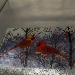 Vintage Cardinal Glass Cutting Board